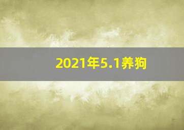 2021年5.1养狗