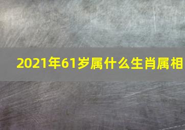 2021年61岁属什么生肖属相