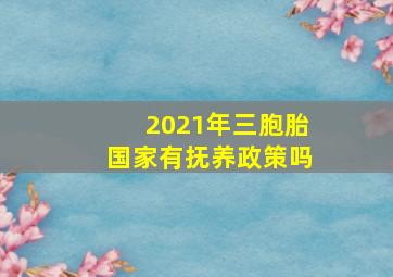 2021年三胞胎国家有抚养政策吗