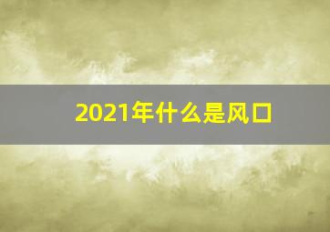 2021年什么是风口