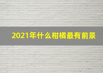 2021年什么柑橘最有前景