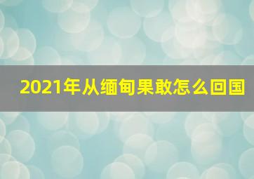 2021年从缅甸果敢怎么回国