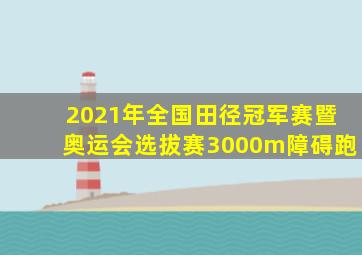 2021年全国田径冠军赛暨奥运会选拔赛3000m障碍跑