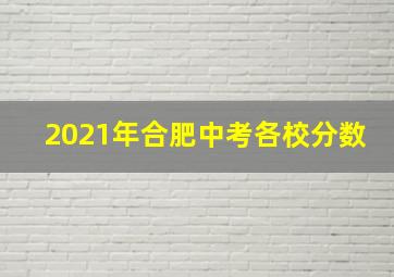 2021年合肥中考各校分数