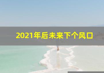 2021年后未来下个风口