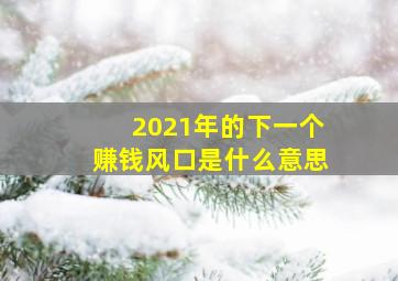 2021年的下一个赚钱风口是什么意思