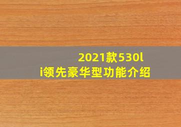 2021款530li领先豪华型功能介绍