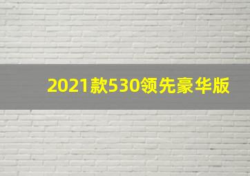 2021款530领先豪华版