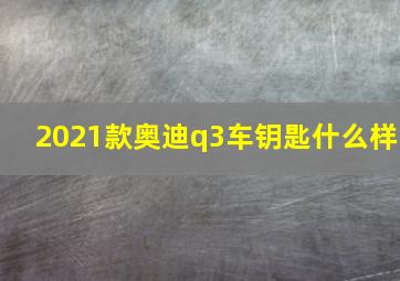 2021款奥迪q3车钥匙什么样