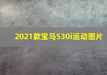 2021款宝马530i运动图片