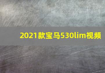 2021款宝马530lim视频