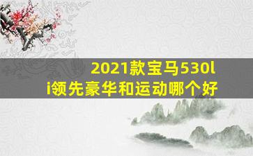 2021款宝马530li领先豪华和运动哪个好