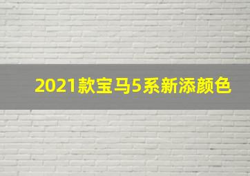 2021款宝马5系新添颜色