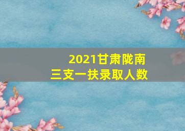 2021甘肃陇南三支一扶录取人数