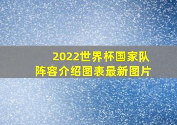 2022世界杯国家队阵容介绍图表最新图片