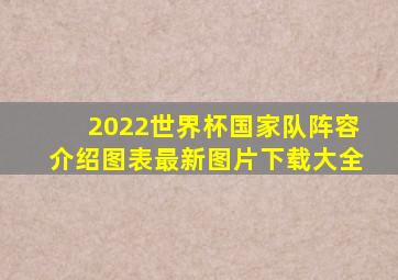 2022世界杯国家队阵容介绍图表最新图片下载大全