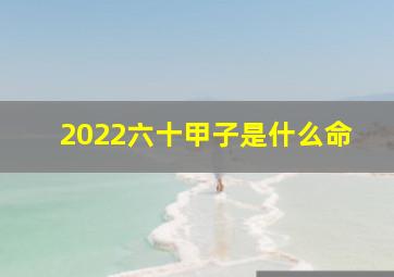 2022六十甲子是什么命