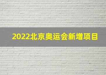 2022北京奥运会新增项目