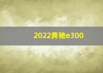 2022奔驰e300