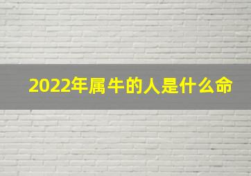 2022年属牛的人是什么命