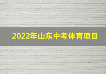 2022年山东中考体育项目