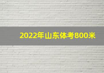 2022年山东体考800米