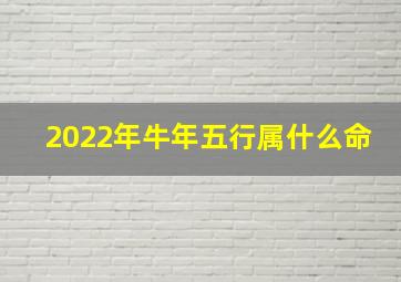 2022年牛年五行属什么命