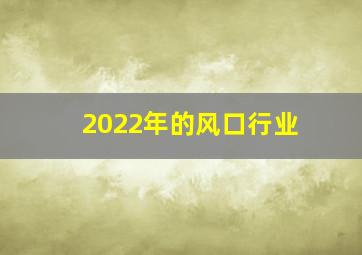 2022年的风口行业