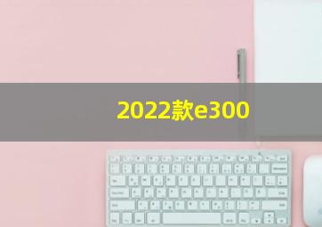 2022款e300