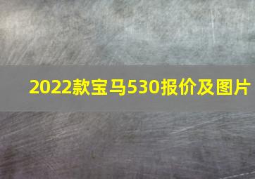 2022款宝马530报价及图片