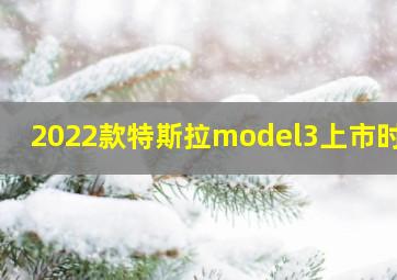 2022款特斯拉model3上市时间