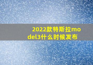 2022款特斯拉model3什么时候发布