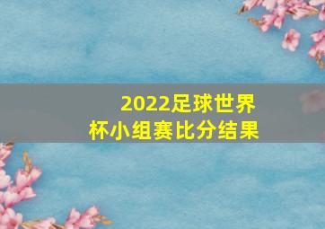 2022足球世界杯小组赛比分结果