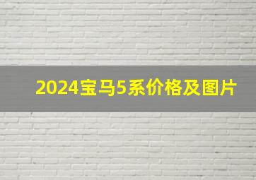 2024宝马5系价格及图片