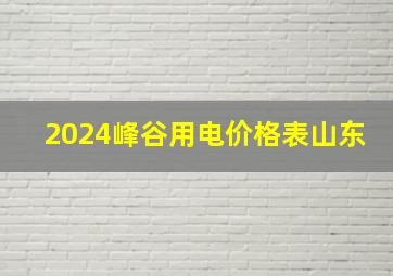 2024峰谷用电价格表山东