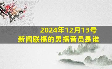 2024年12月13号新闻联播的男播音员是谁