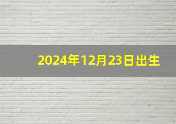 2024年12月23日出生