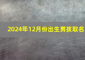 2024年12月份出生男孩取名