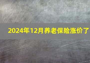 2024年12月养老保险涨价了