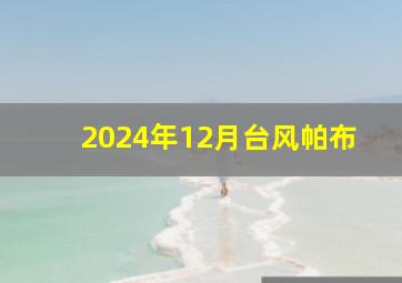 2024年12月台风帕布