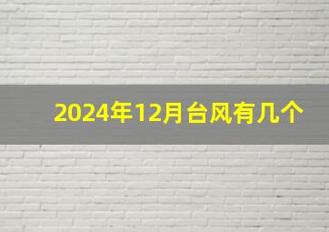 2024年12月台风有几个