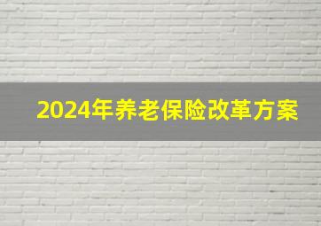 2024年养老保险改革方案