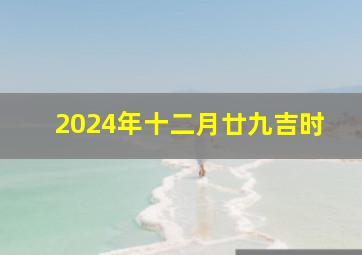 2024年十二月廿九吉时