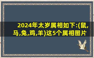 2024年太岁属相如下:(鼠,马,兔,鸡,羊)这5个属相图片