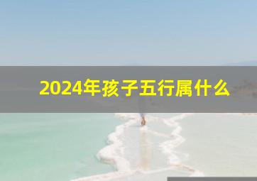 2024年孩子五行属什么