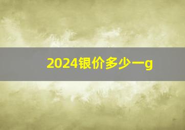 2024银价多少一g