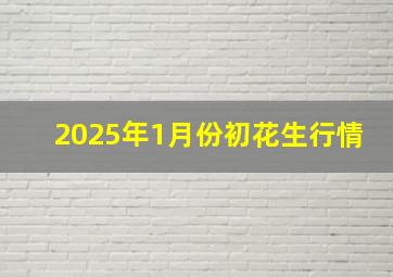 2025年1月份初花生行情