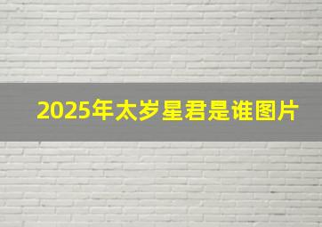 2025年太岁星君是谁图片