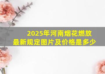 2025年河南烟花燃放最新规定图片及价格是多少