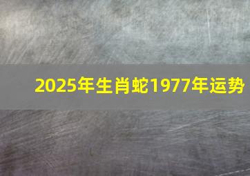 2025年生肖蛇1977年运势